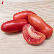 Tomate Rouge Mi-Saison Oroma