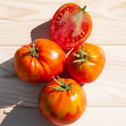 Tomate Rouge Mi-Saison Coeur de Boeuf Schilling Giant