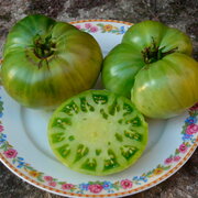 Tomate Verte Mi-Saison Absinthe