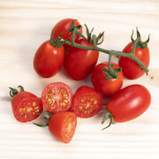 Tomate-Cerise Rouge Précoce Grappoli Corbarino