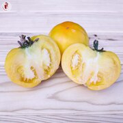 Tomate Jaune Mi-Saison Golden Jubilee