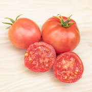 Tomate Rose Précoce Clear Pink