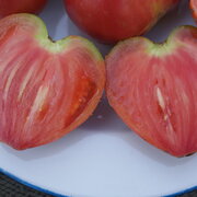 Tomate Rose Tardive Cœur de Bœuf Japonais