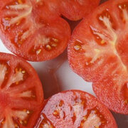 Tomate Rose Mi-Saison Watermelon Beefsteak