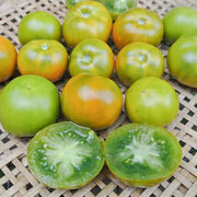 Tomate Verte Mi-Saison Lime Green