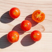 Tomate-Cerise Bigarrée Précoce Isis Candy Cherry