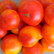 Tomate Bigarrée Mi-Saison Anawine