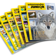 Abonnement Magazine Salamandre Junior