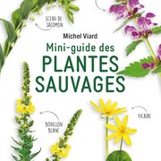 Mini-guide des plantes sauvages