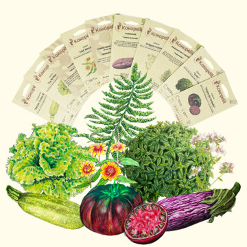 BIO Kit de graines potager avec 10 variétés de légumes - semis potager de  culture biologique prêt à pousser idéal pour terrasse[26]