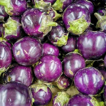 Aubergines - Thai Round Purple
