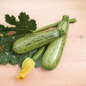 Courgettes - Caserta