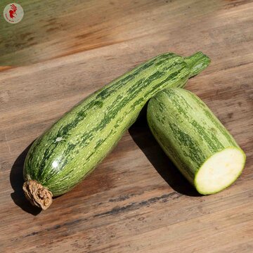 Courgettes - Nimba