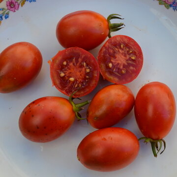 Tomates - Black Roma