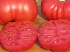 Tomates - Calabash Red