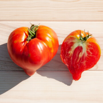 Sachet de graines de Tomate Coeur de boeuf Oxheart Striped - 0,5