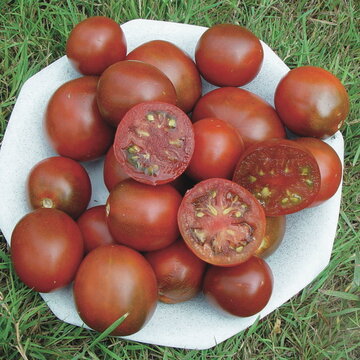 Tomates - Black Prince