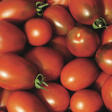 Tomates-Cerises - Brown Cherry