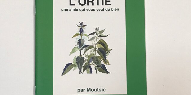 3000 graines d'ortie piquante graines d'urtica dioica plante résistante aux  cerfs -  France