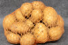 Pommes de terre - Pomme de terre Bintje bio - calibre 28/35 Pomme de terre Bintje bio 25 plants