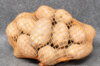 Pommes de terre - Pomme de terre Rosabelle bio - calibre 25/35 Pomme de terre Rosabelle bio 25 plants