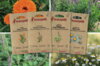 Assortiments Fertiles - Plantes à tisanes - 4 sachets de graines bio à semer