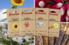 Assortiments Fertiles - Potager d'enfant - 4 sachets de graines bio à semer