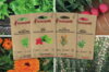 Assortiments Fertiles - Potager du balcon - 4 sachets de graines bio à semer