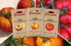 Assortiments Fertiles - Tomates pour salade - 3 sachets de graines bio à semer