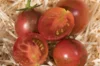 Tomates cerises - Purple Bumblebee