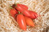 Tomates cerises - Sweet Casady