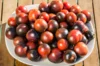 Tomates cerises - Blue Chocolate