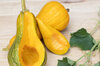 Courges moschata - Butternut Sonca Orange