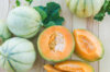 Melons - Védrantais / Superprécoce du Roc