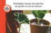 Jardin bio - Le bouturage