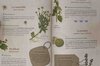 Connaissance des Plantes - Mon cahier de Tisanes