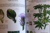 Connaissance des Plantes - Mon cahier de Botanique