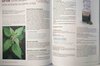 Plantes Médicinales - LE guide Terre Vivante - 1000 remèdes à faire soi-même : teintures mères, baumes, lotions, sirops, tisanes…