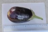 Aubergines - Imperial Black Beauty