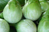 Aubergines - Thai Round Green