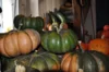 Courges moschata - Musquée de Provence