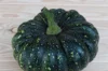 Courges moschata - Thai Kang Kob