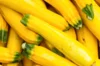 Courgettes - Jaune Sans Col Lisse