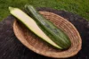 Courgettes - Nimba