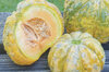 Melons - Prescott Hâtif