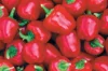 Piments/Poivrons - Miniature Red Bell