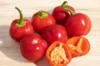 Piments/Poivrons - Miniature Red Bell