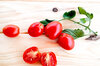 Tomates cerises - Early Cherry