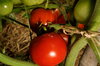 Tomates - Imur Prior Beta