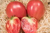 Tomates - Mazarini